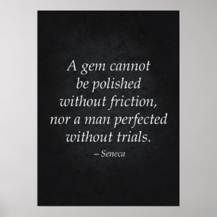 Stoic Quote - Motivational Poster