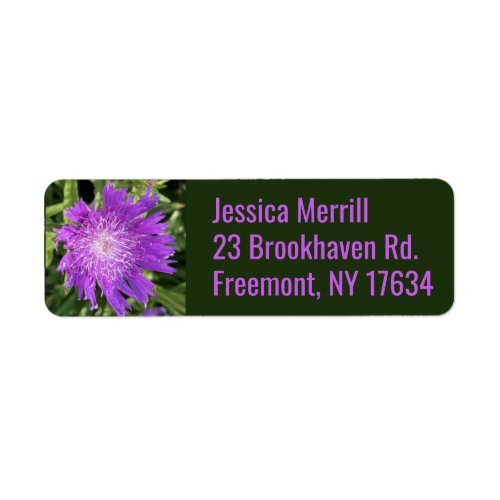 Stokes aster return address label