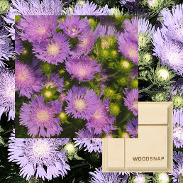 Stokesia Aster Wildflowers Photographic Floral Wood Wall Art