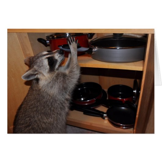 stole pan card (Front Horizontal)