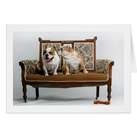 Stolen kiss (Front Horizontal)