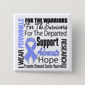 Stomach Cancer I Wear Periwinkle Ribbon TRIBUTE Pinback Button