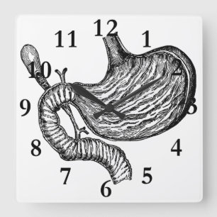 stomach drawing clock