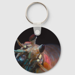 Stomatopod (Mantis Shrimp) Keychain