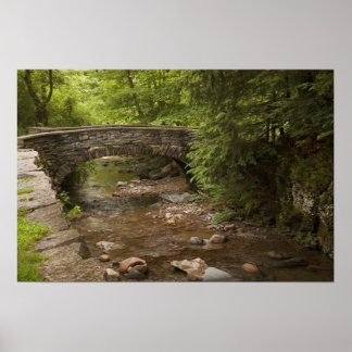 Stone Arch Bridge  Print