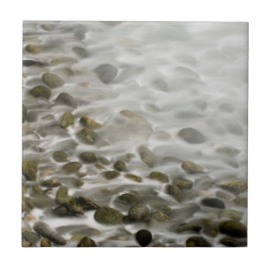 Stone Beach Point Lobos State Reserve, CA Tile