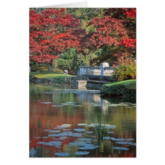 Stone bridge card (Front)