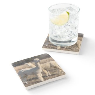 Stone Coaster - Alpacas Abby & Bailey