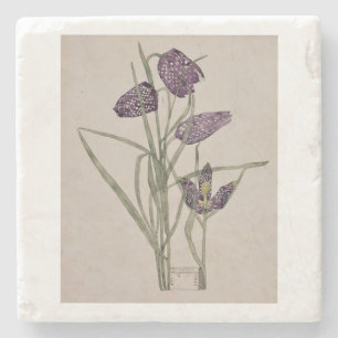 STONE COASTER : CHARLES RENNIE MACKINTOSH : 1915