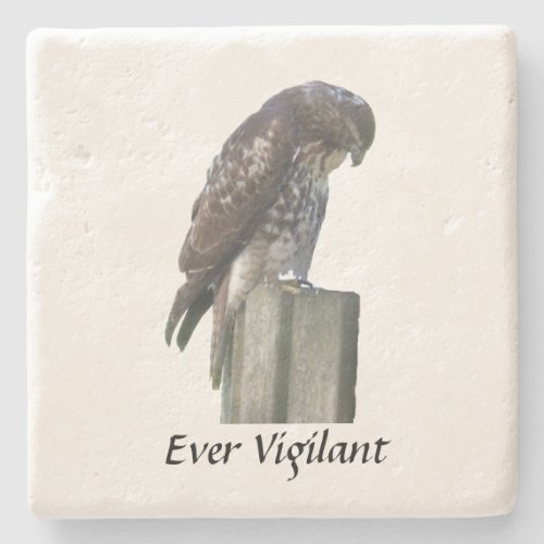 Stone Coaster _ Falcon _ Ever Vigilant