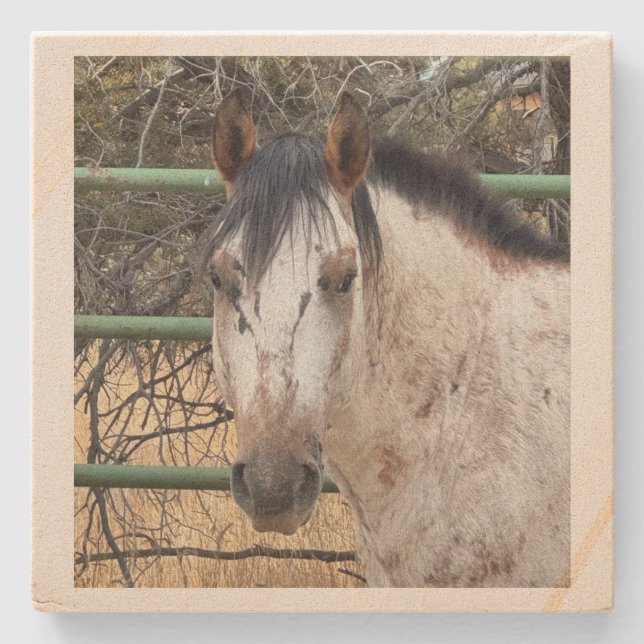 Stone Coaster- Happy Appy  Stone Coaster (Front)
