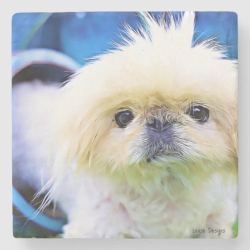 Stone Coaster Pekingese Marcus