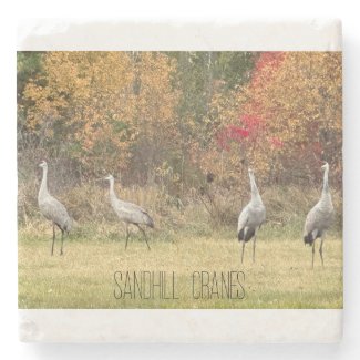 Stone Coaster - Sandhill Cranes