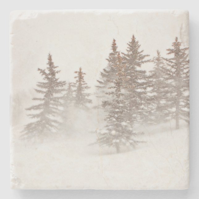 Stone Coasters - Mountain Home inspired (Front)