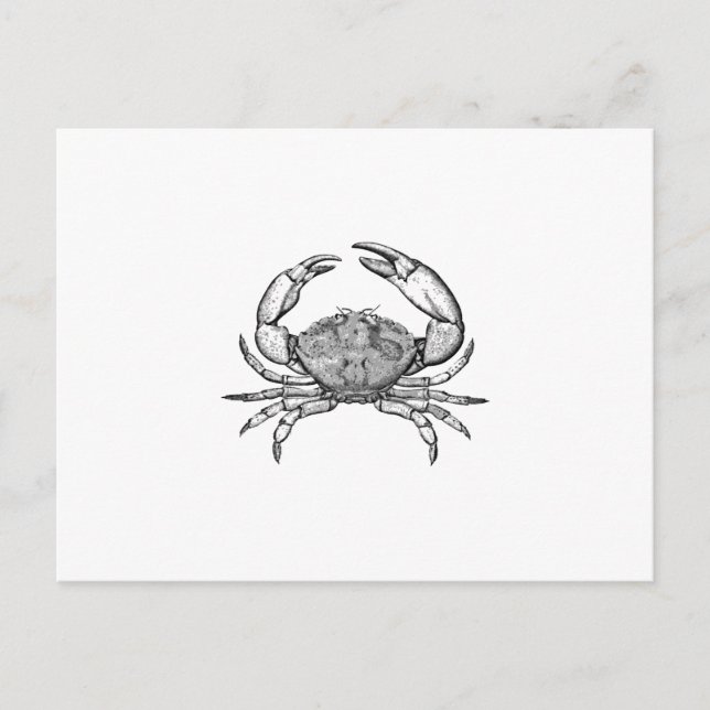 Stone Crab Logo (line art) Postcard (Front)