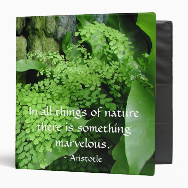 Stone Garden: Aristotle - Binder (Front/Inside)