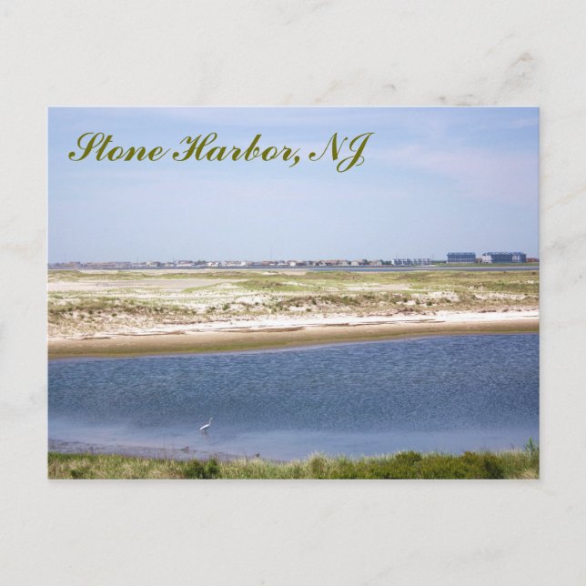 Stone Harbor Point Postcard (Front)