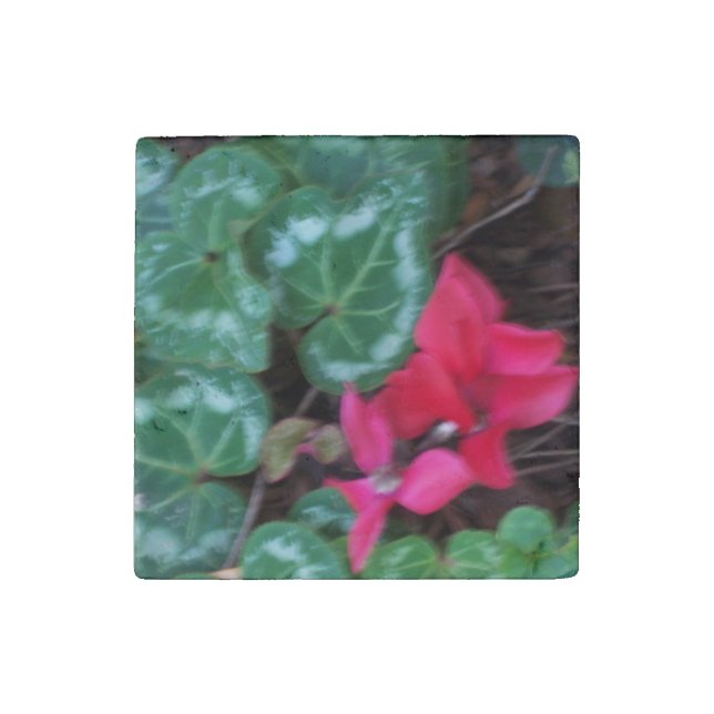 Stone Magnet Flower (Front)