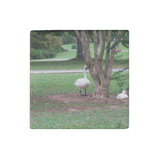 Stone Magnet Swan and Duck