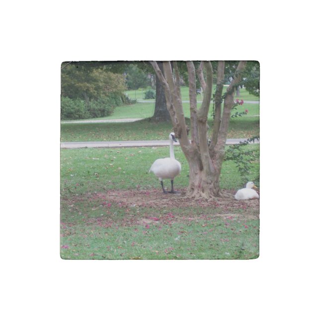 Stone Magnet Swan and Duck (Front)