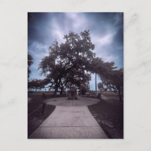 Stone Memorial Under Live Oak Postcard