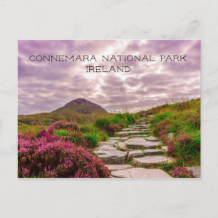 Stone Path, Wildflowers, Connemara National Park, Postcard