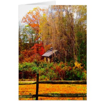 Stone Shed Fall Colors by DesireeGriffiths at Zazzle