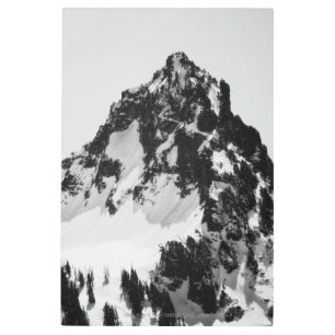 Stone, Snow and Trees Metal Print