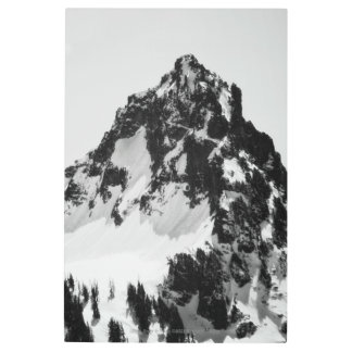 Stone, Snow and Trees Metal Print