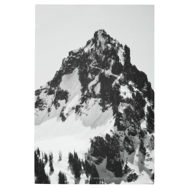 Stone, Snow and Trees Metal Print (Front)