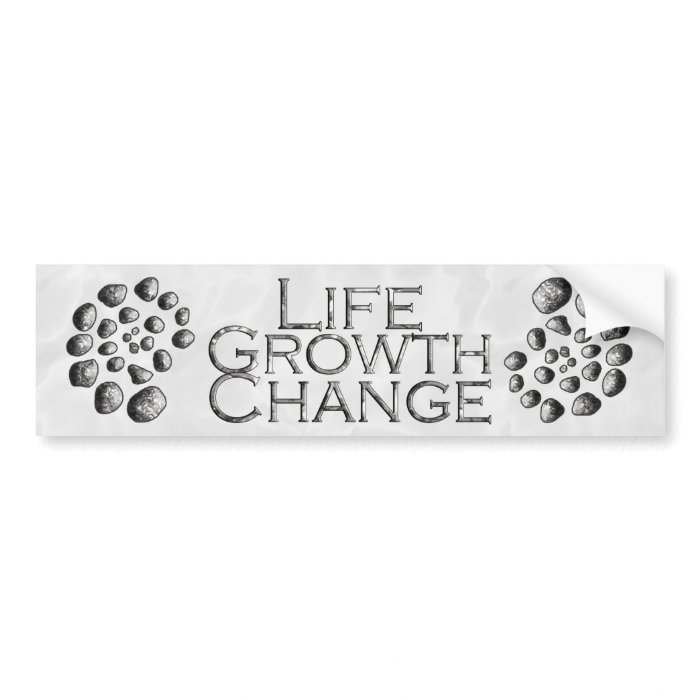 Stone Spiral Life Growth Change Bumper Stickers