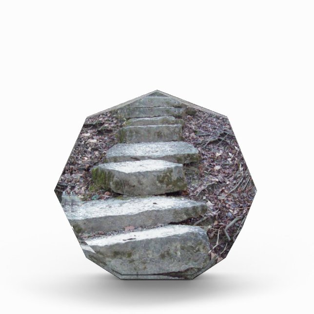 Stone Steps at Sugarcreek Award (Front)