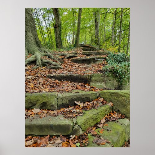 Stone Steps In The Woods Poster