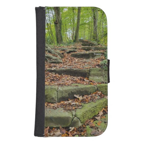 Stone Steps In The Woods Galaxy S4 Wallet Case