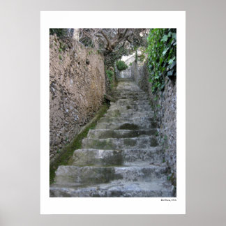 Stone Steps Poster