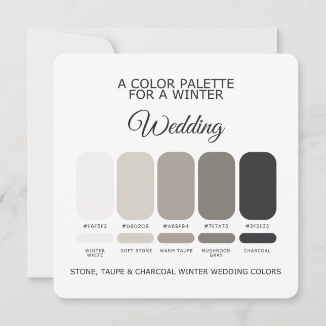 Stone Taupe Charcoal Winter Wedding Palette Card (Front)