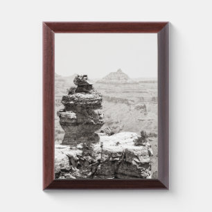 Stone Temples Award Plaque