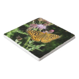 Stone Trivet Potholder | Orange Butterfly Photo