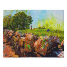 Stone Wall In Summer, Galway, Ireland