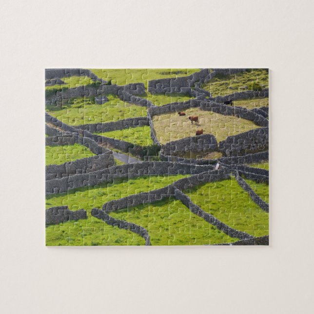 Stone Walls Galway Ireland. Jigsaw Puzzle (Horizontal)