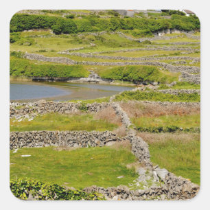 Stone Walls of Ireland Square Sticker