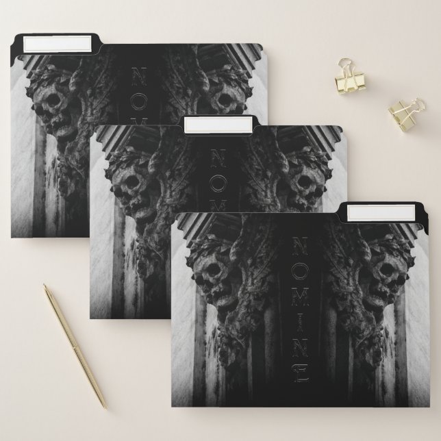 Stone Wings Skull File Folder (Set)