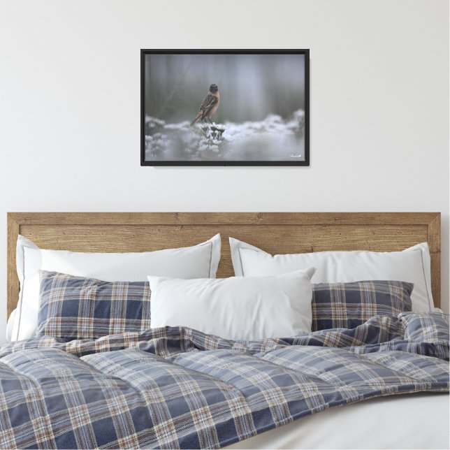 Stonechat Canvas Print (Insitu(Bedroom))