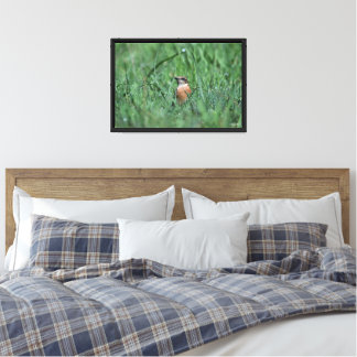 Stonechat Canvas Print