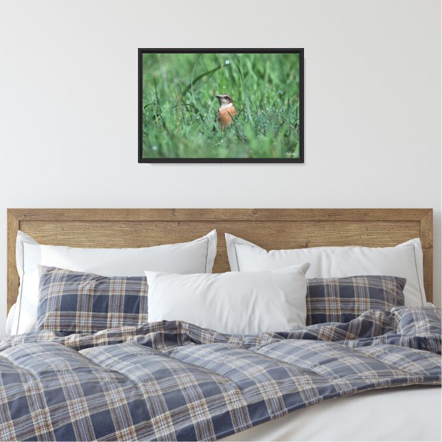 Stonechat Canvas Print (Insitu(Bedroom))