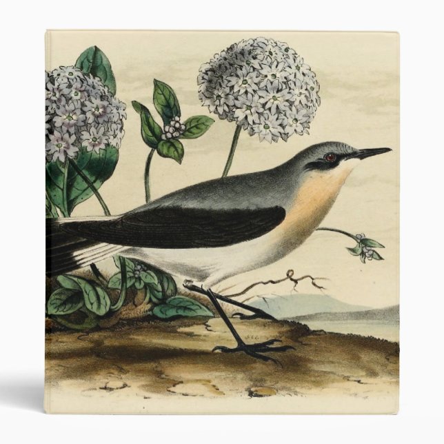 Stonechat Wren 3 Ring Binder (Front)