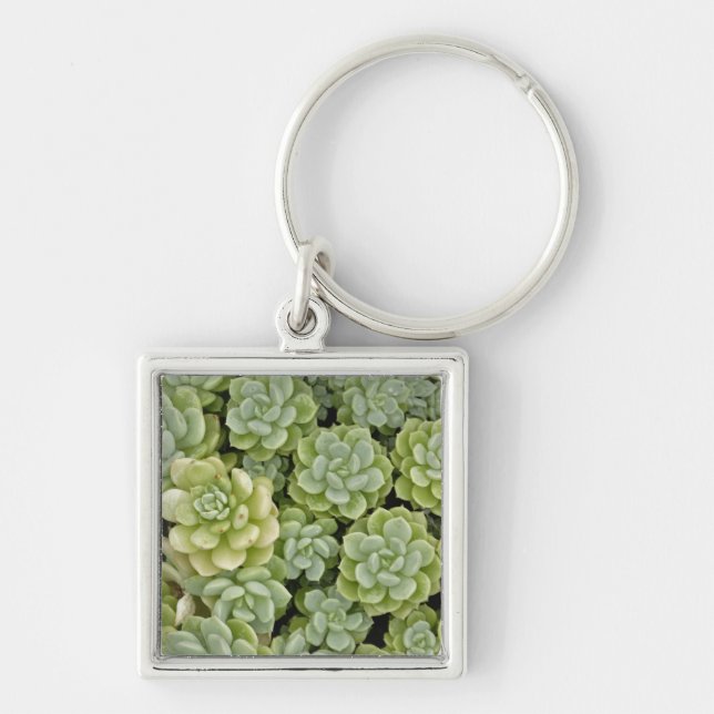 Stonecrop plant pattern keychain (Front)