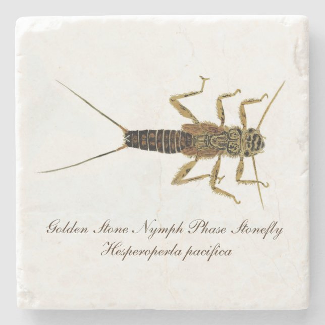 Stonefly Nymph Coaster (Front)