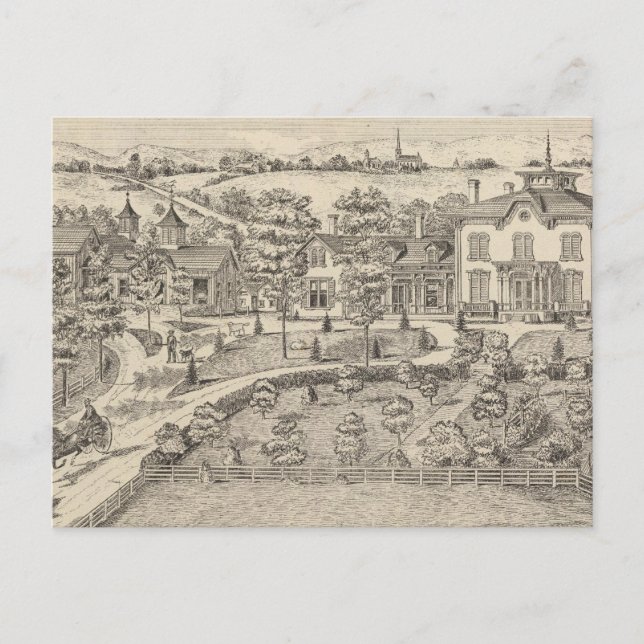 Stonehenge a residence and stock farm postcard (Front)