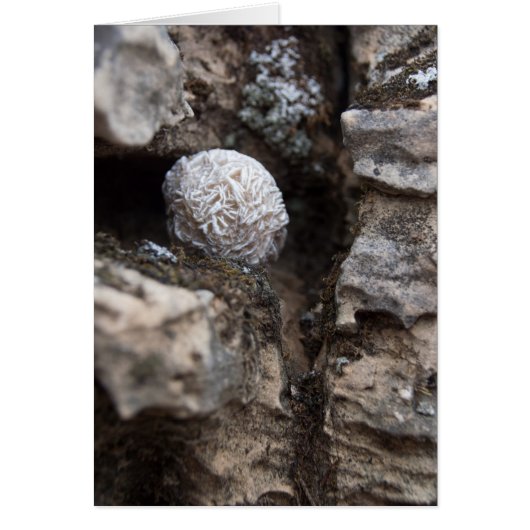 Stones | Desert Rose 136 Cards (Front)